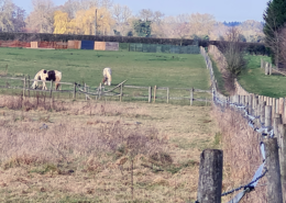 HORSE FIELD AND FOOTPATH