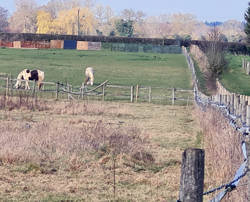 HORSE FIELD AND FOOTPATH