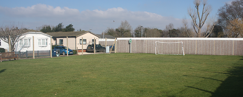 PLAYING FIELD WITH GOAL POST