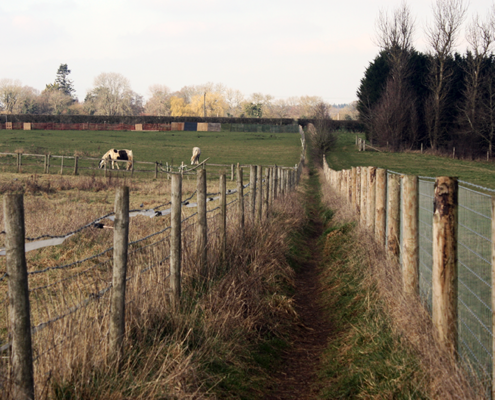 VIEW OF PATHWAY THROUGH FIELD