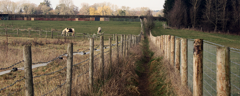 VIEW OF PATHWAY THROUGH FIELD