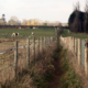 VIEW OF PATHWAY THROUGH FIELD