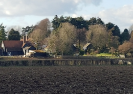 FARMLAND VIEW