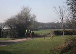 3 PEOPLE ON HORSE BACK