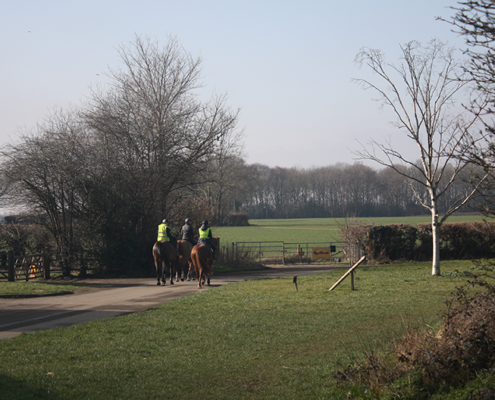 3 PEOPLE ON HORSE BACK