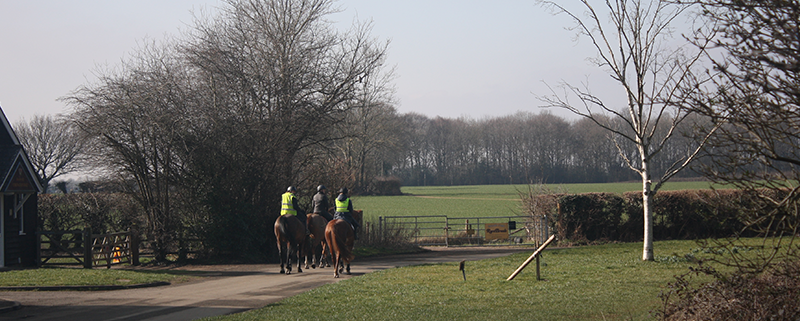 3 PEOPLE ON HORSE BACK