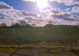 VIEWS AT WHELPLEY HILL PARK