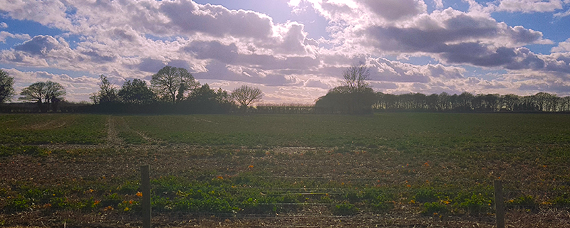 VIEWS AT WHELPLEY HILL PARK